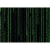 3208 Matrix